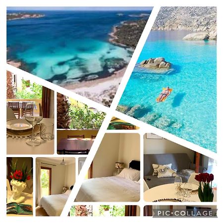 Nest House - Esclusivo Appartamento Marina Di Olbia- Mater Olbia - Beaches - Close To The Airport - Private Parking- Full Comforts - Kültér fotó